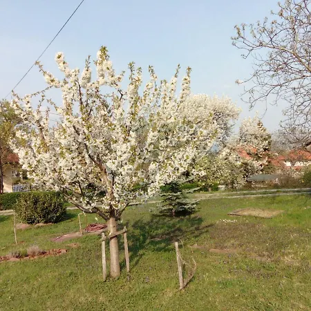 公寓 Panorama Pihenohaz 巴拉顿诺尔马迪